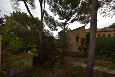 Venta Solar urbano Palma