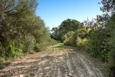 Venta Terrenos Lloret de Vistalegre