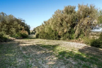 Venta Terrenos Lloret de Vistalegre