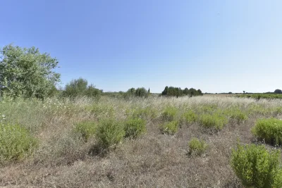 Venta Terrenos Felanitx