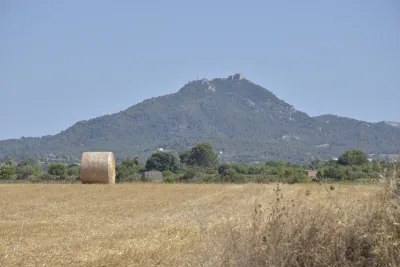 Venta Terrenos Felanitx