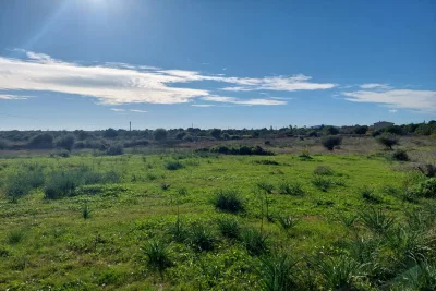 Venta Terrenos Sillot