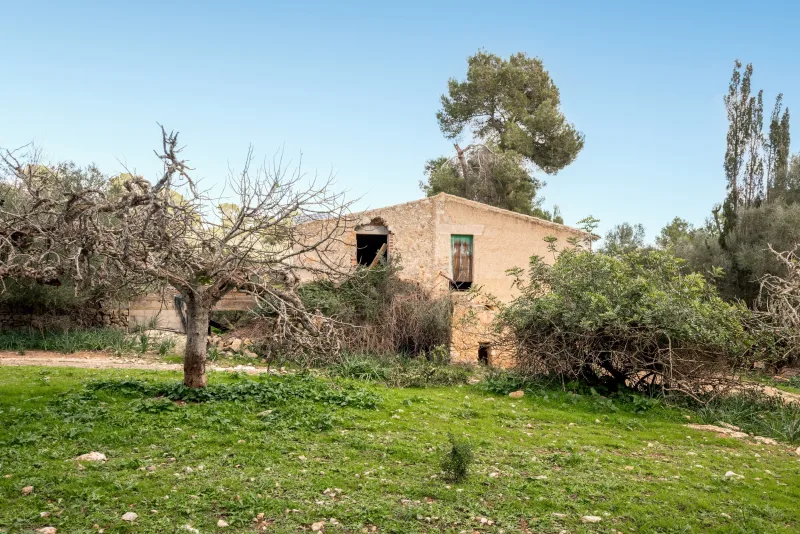 Fincas rusticas en Manacor