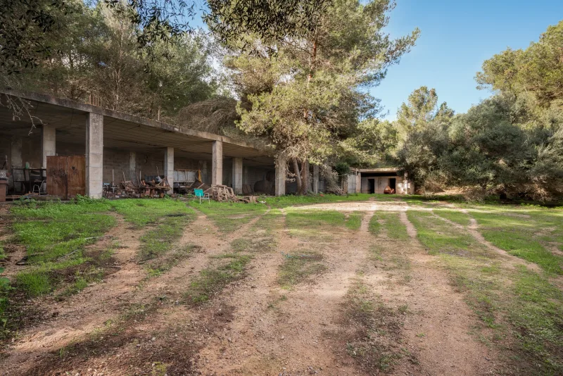 Fincas rusticas en Manacor