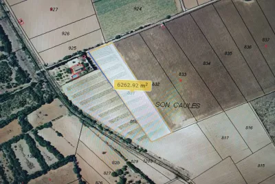 Venta Terrenos Manacor