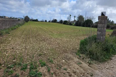 Venta Terrenos Manacor