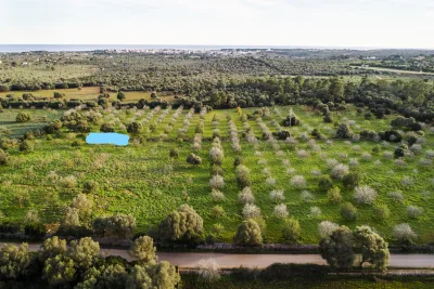 Venta Fincas Porto Cristo