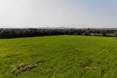 Venta Terrenos Felanitx