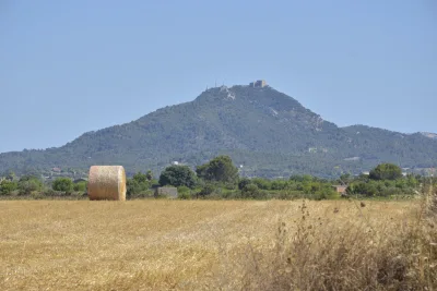 Venta Terrenos Felanitx