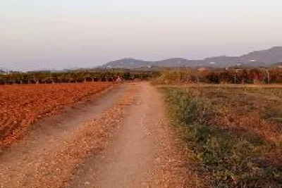 Venta Terrenos Felanitx