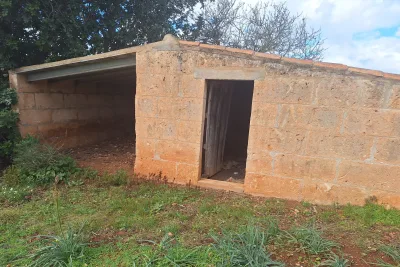 Compra Venta Terrenos en Son Carrio