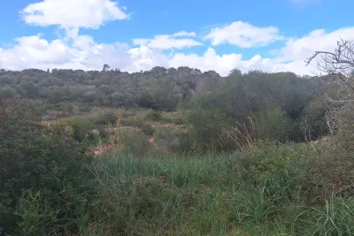 Venta Terrenos Son Carrio