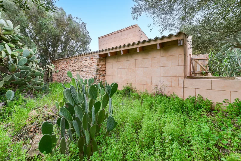 Bonita finca rustica en Campos