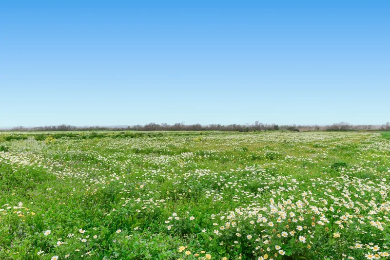 Bonita finca rustica en Campos