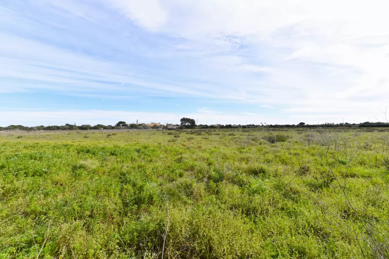 Se vende finca edificable en S'Illot