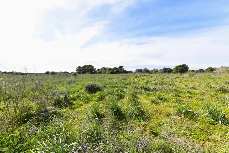 Se vende finca edificable en S'Illot
