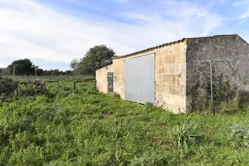 Se vende finca edificable en S'Illot