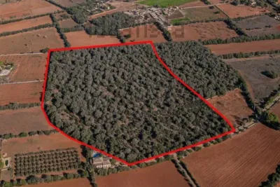 Venta Terrenos Felanitx