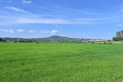 Venta Terrenos Vilafranca de Bonany