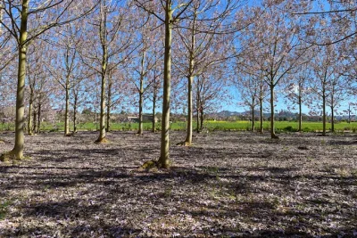 Venta Terrenos Manacor