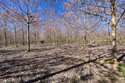 Venta Terrenos Manacor