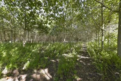 Venta Terrenos Manacor