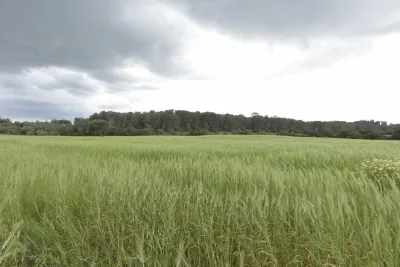 Venta Terrenos Sineu