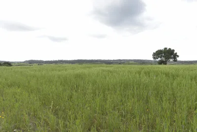 Venta Terrenos Sineu