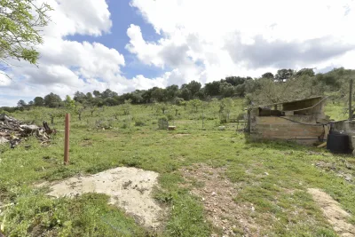 Venta Terrenos Ariany