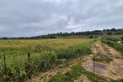 Venta Terrenos Ariany