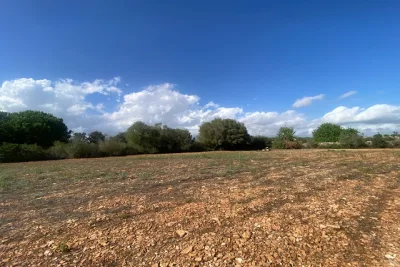 Venta Terrenos Manacor