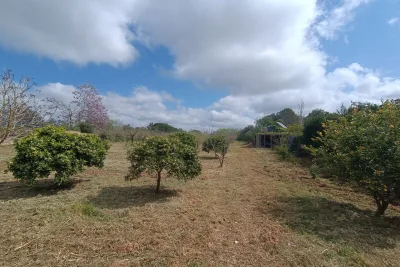 Venta Terrenos Manacor