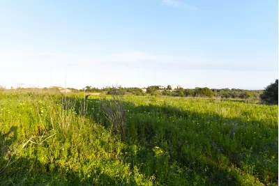 Venta Terrenos Porto Cristo