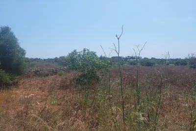 Venta Terrenos Porto Cristo