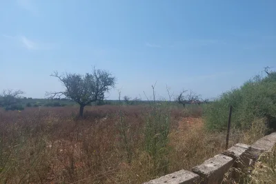 Venta Terrenos Porto Cristo