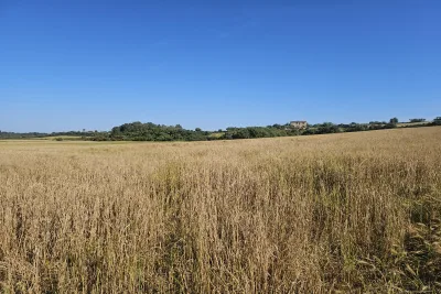 Venta Terrenos Manacor