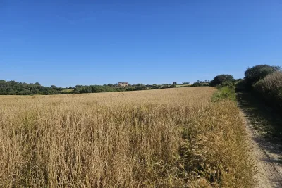 Venta Terrenos Manacor