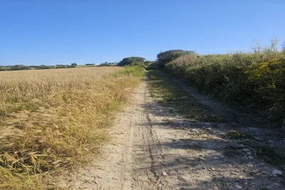 Venta Terrenos Manacor