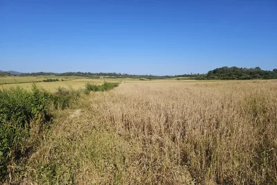 Venta Terrenos Manacor