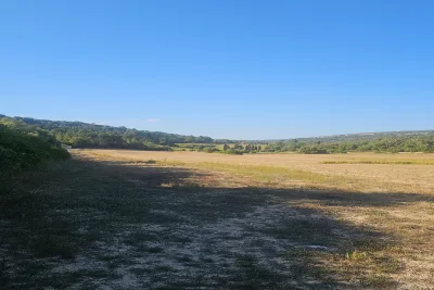 Venta Terrenos Manacor