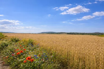 Venta Terrenos Manacor