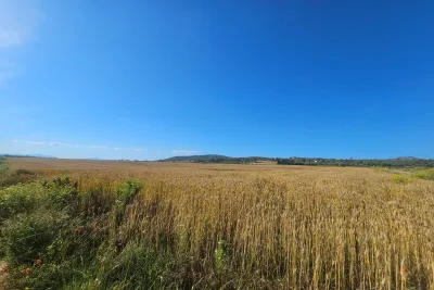 Venta Terrenos Manacor