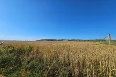 Venta Terrenos Manacor