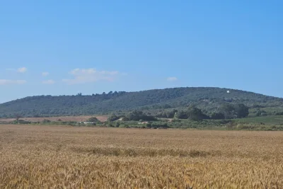 Venta Terrenos Manacor