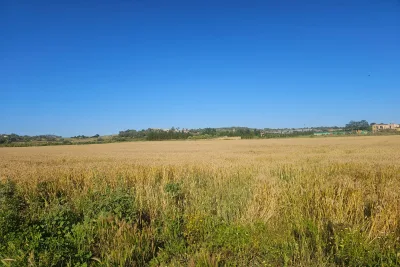 Venta Terrenos Manacor