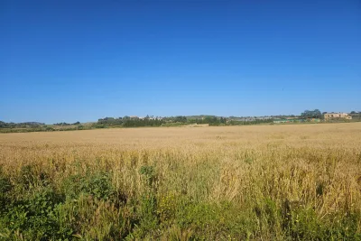 Venta Terrenos Manacor