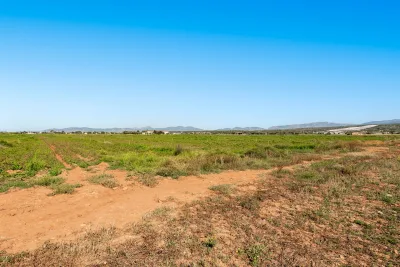 Venta Fincas Son Ferriol