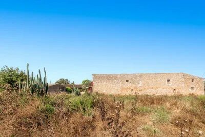 Venta Fincas Son Ferriol