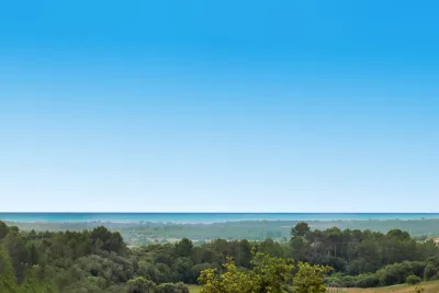 Venta Fincas Manacor