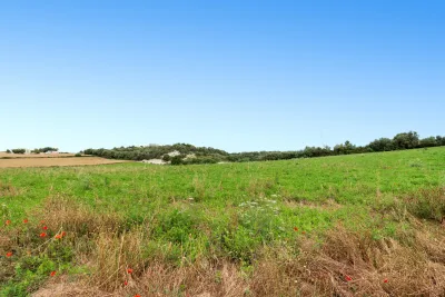 Venta Fincas Manacor